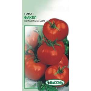 Факел - томат детермінантний, 0,2 г насіння, ТМ Вассма фото, цiна